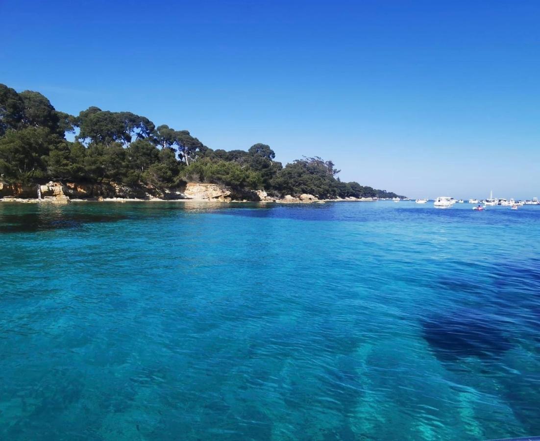 Un Havre De Paix Au Coeur De Mougins Apartment Luaran gambar